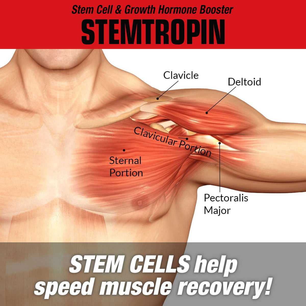 MuscleMeds STEMTROPIN Stem Cell & Growth Factor Booster - 60 Veggie Capsules - image 4