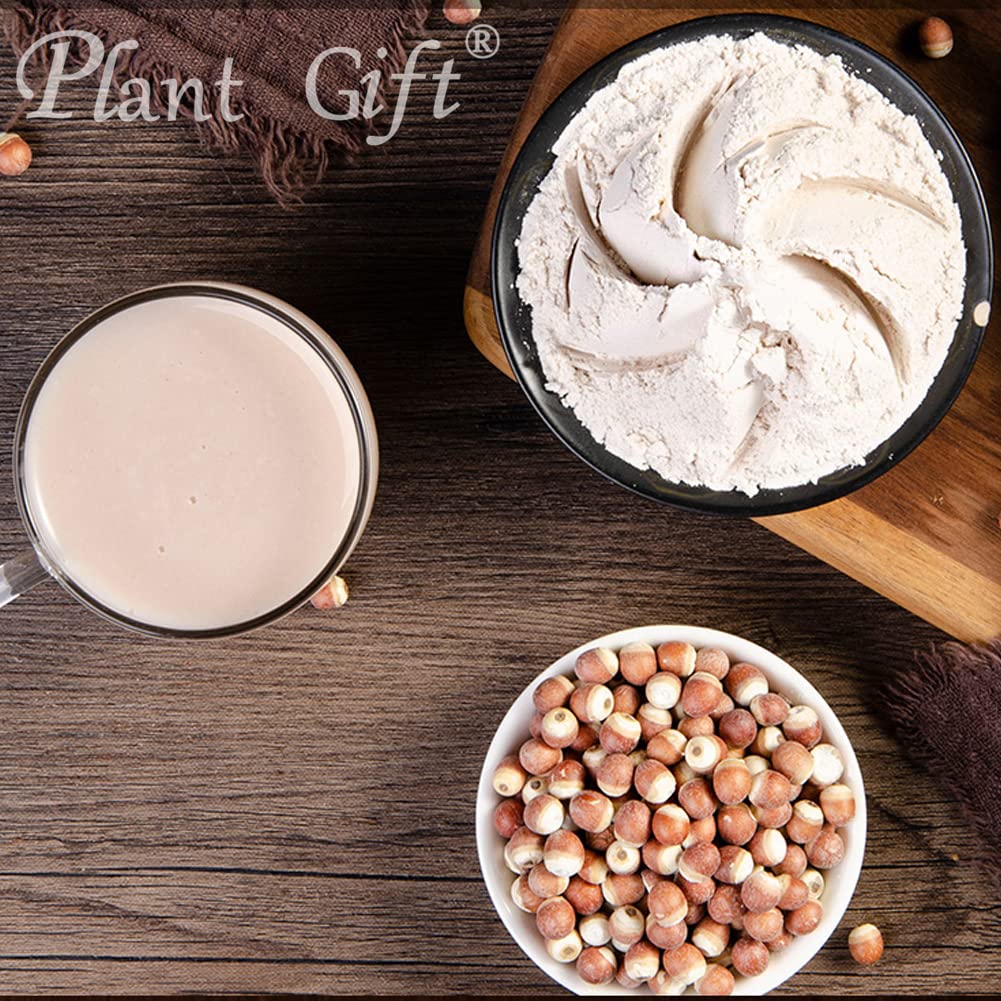 Plant Gift 100% Pure Euryales Powder - 100g - image 5