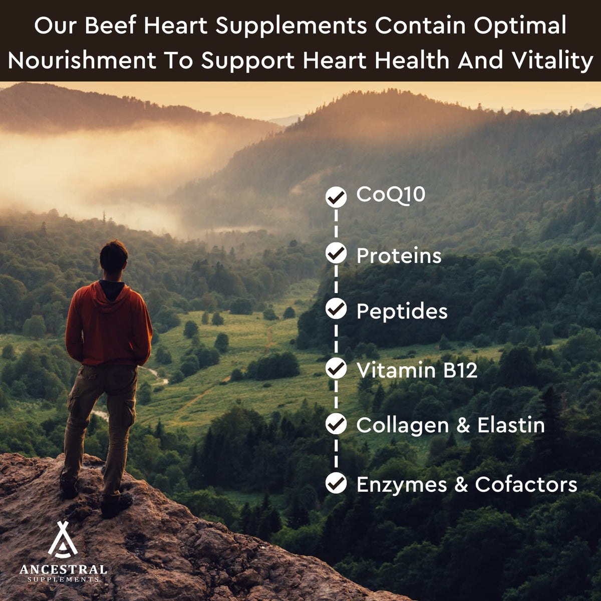 Ancestral Supplements Grass Fed Beef Heart Supplement CoQ10 - 180 Capsules - image 4