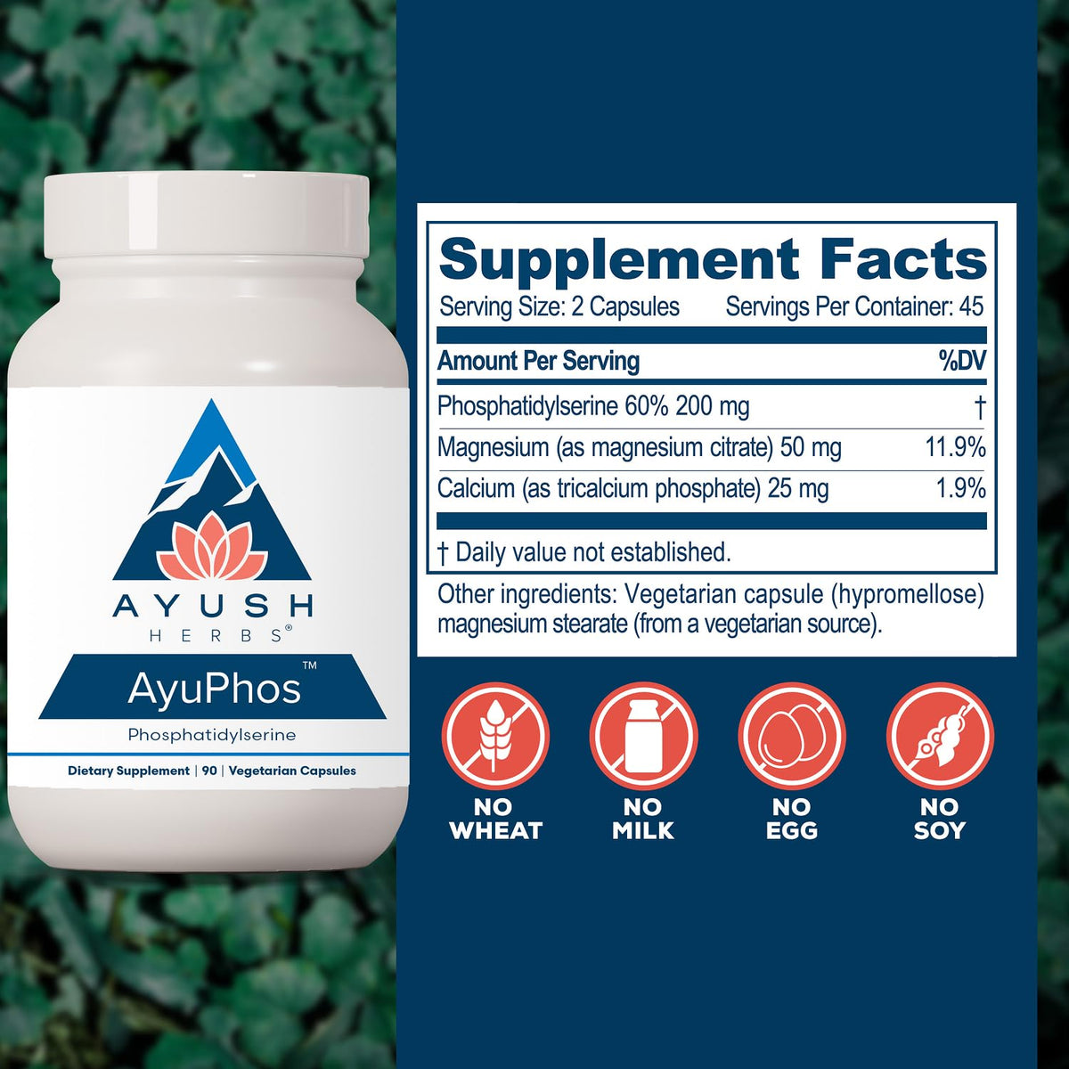 Ayush Herbs AyuPhos Brain & Memory Support 200mg - 90 Capsules - image 3