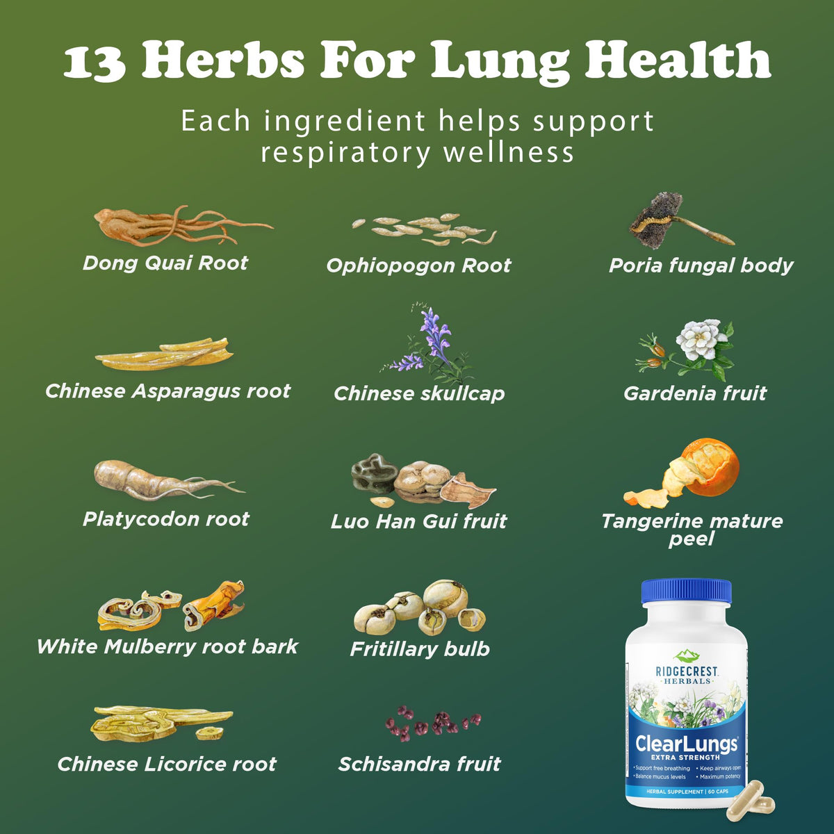 RidgeCrest Herbals ClearLungs Extra Strength