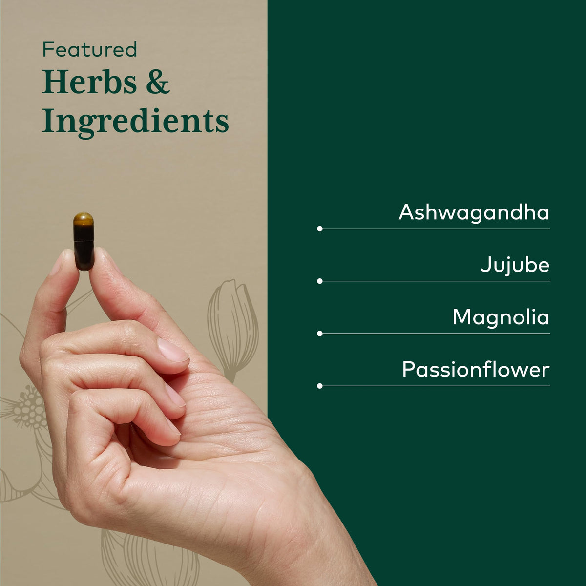 Gaia Herbs PRO Sleep Maintenance - 60 Vegan Capsules - image 4