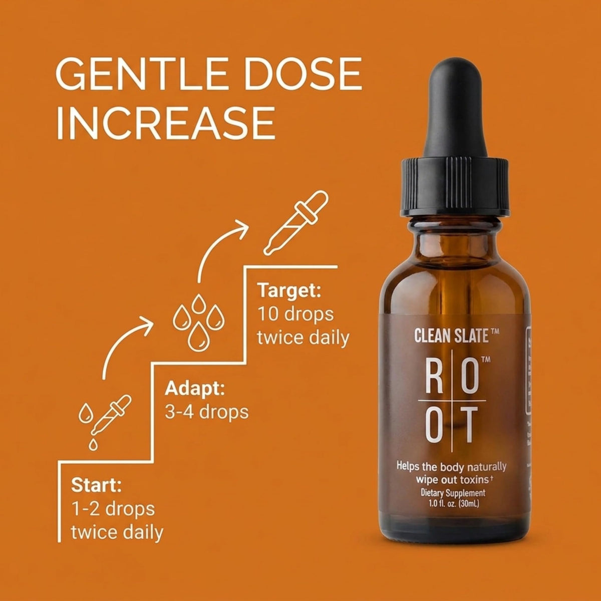 THEROOTBRANDS Root Clean Slate Bioavailable Silicic Acid - 1 Fl Oz - image 5