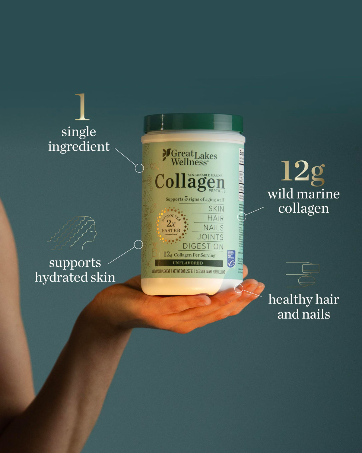 Great Lakes Wellness Sustainable Marine Collagen Peptides for Skin
