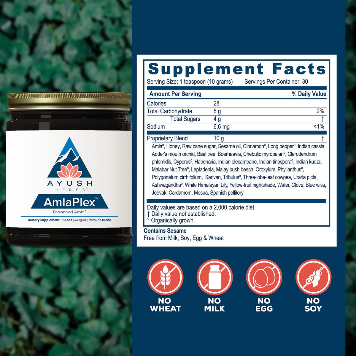 Ayush Herbs AmlaPlex Chyavanprash Immune Support - 30 Servings - image 3