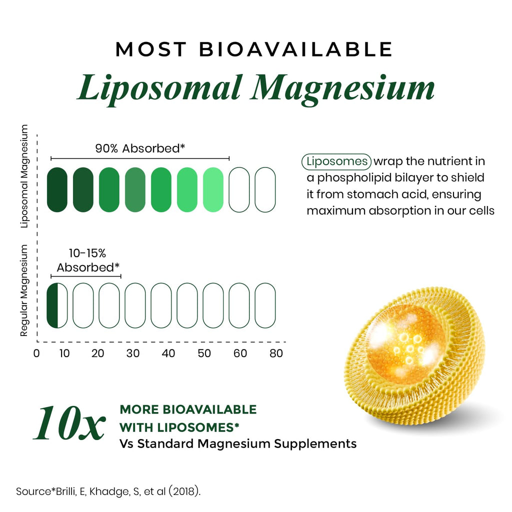 Himalayan Organics Vlado's Magnesium Supplement 2800mg - 60 Vegetarian Capsules - image 7