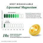 Himalayan Organics Vlado's Magnesium Supplement 2800mg - 60 Vegetarian Capsules - image 7