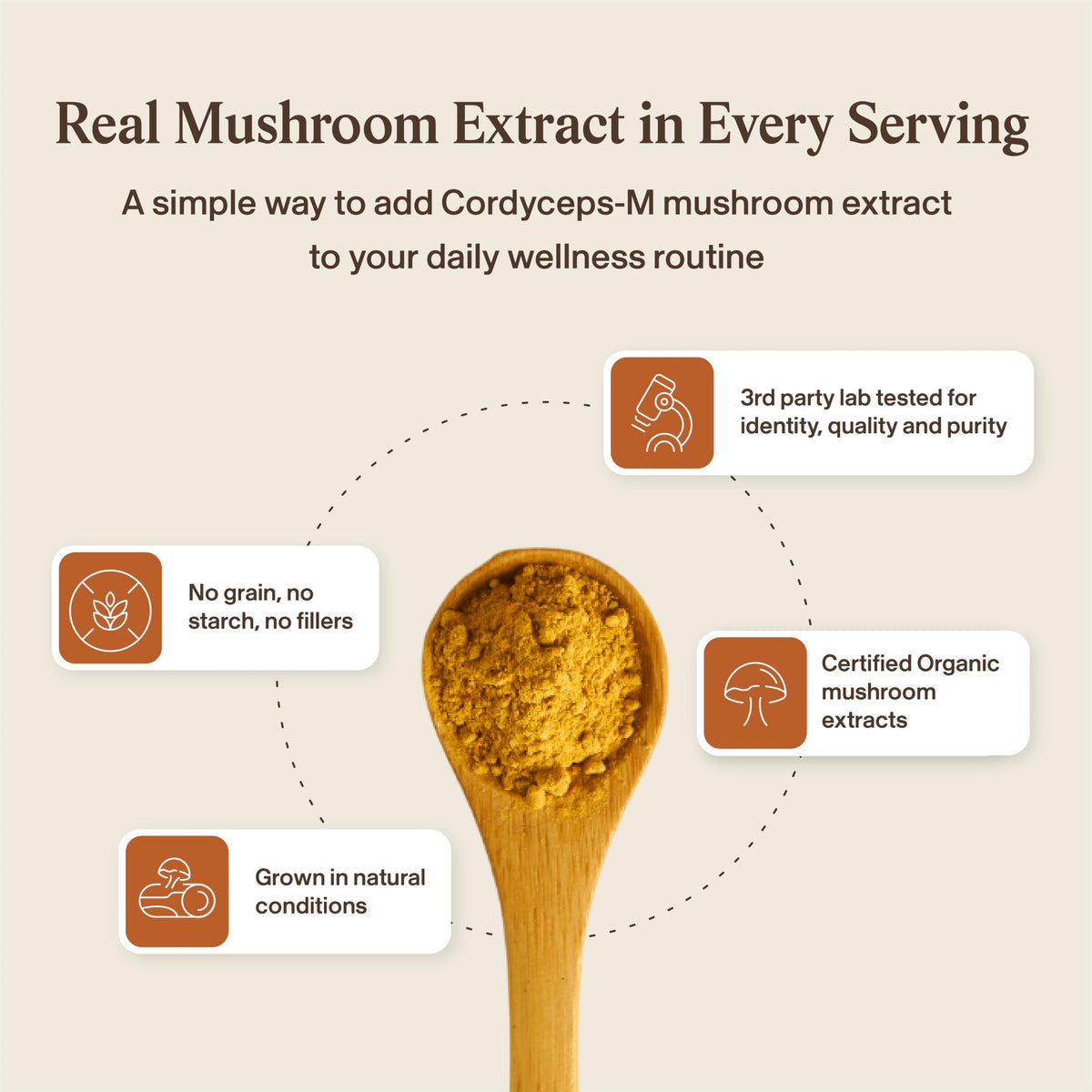 Real Mushrooms Organic Cordyceps Powder for Performance - 150 Servings - image 7