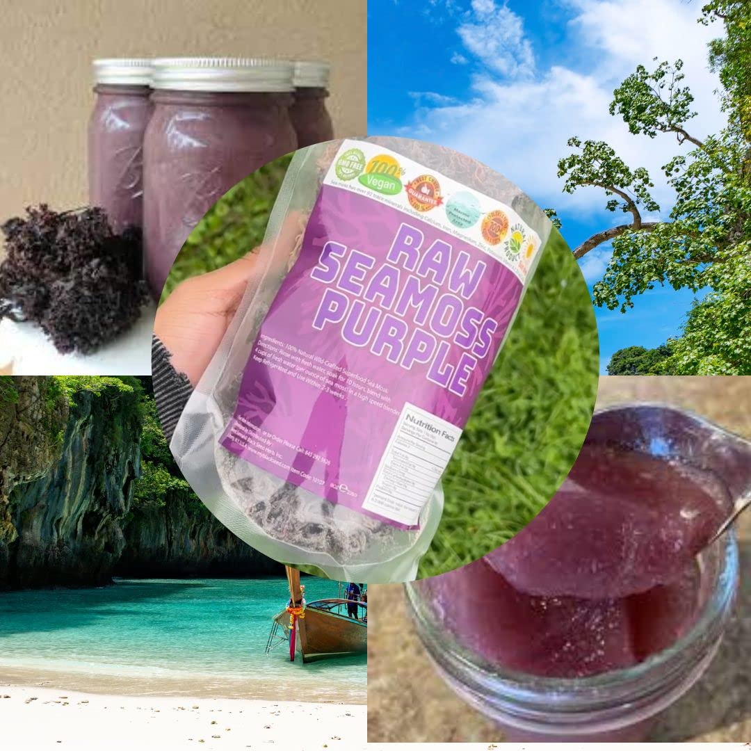 Sweet Sunnah Purple Sea Moss Wildcrafted - 8 oz - image 5