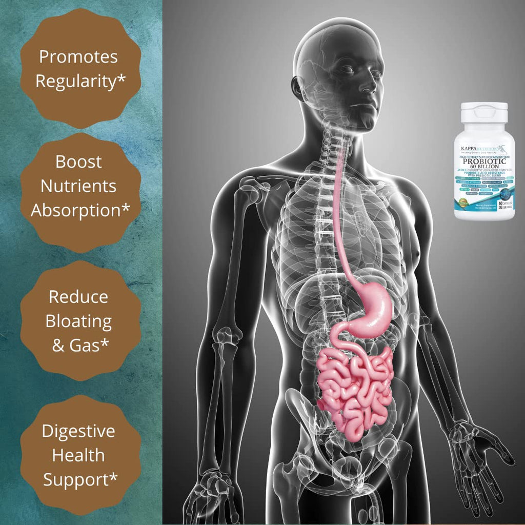 KAPPA NUTRITION Probiotic 60 Billion CFU 14 in 1 Formula - 60 Capsules - image 7