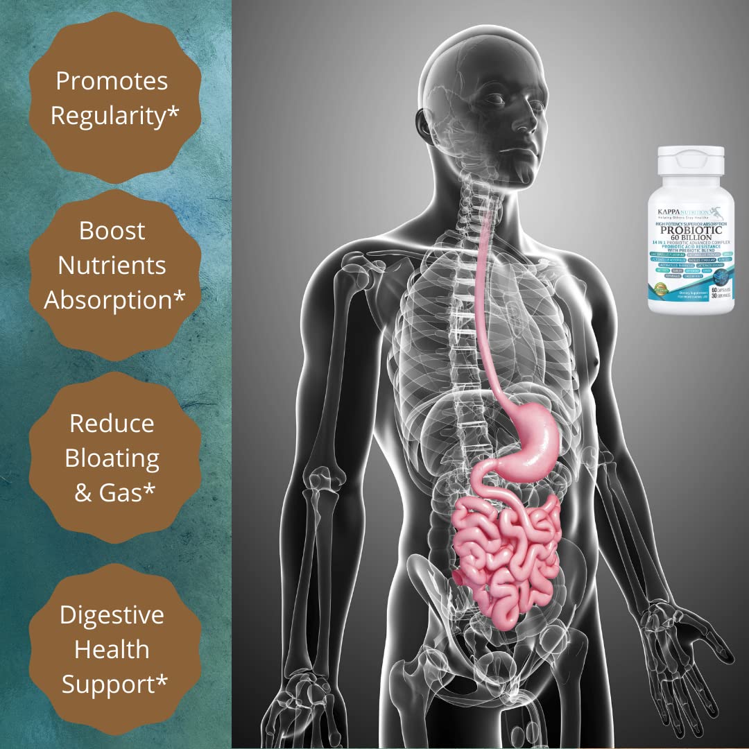 KAPPA NUTRITION Probiotic 60 Billion CFU 14 in 1 Formula - 60 Capsules - image 7