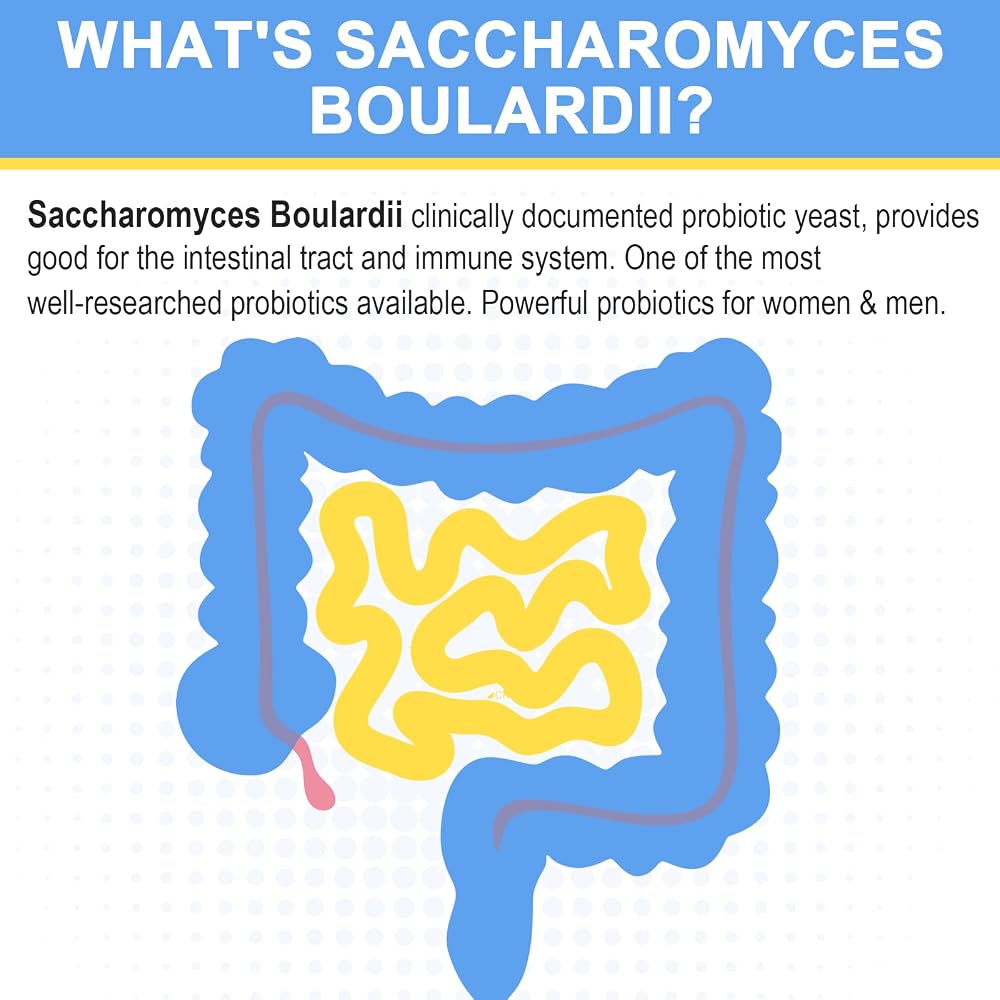 Trehealtt Saccharomyces Boulardii 200 Billion CFU Probiotic - 60 Capsules - image 2