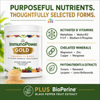 ImmunoPower Gold Turmeric Immune Support Powder - image 6