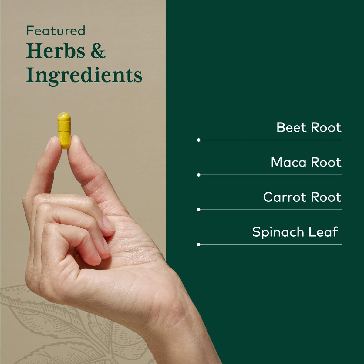 Gaia Herbs PRO Fermented Beet & Maca Energy - 60 Capsules - image 4