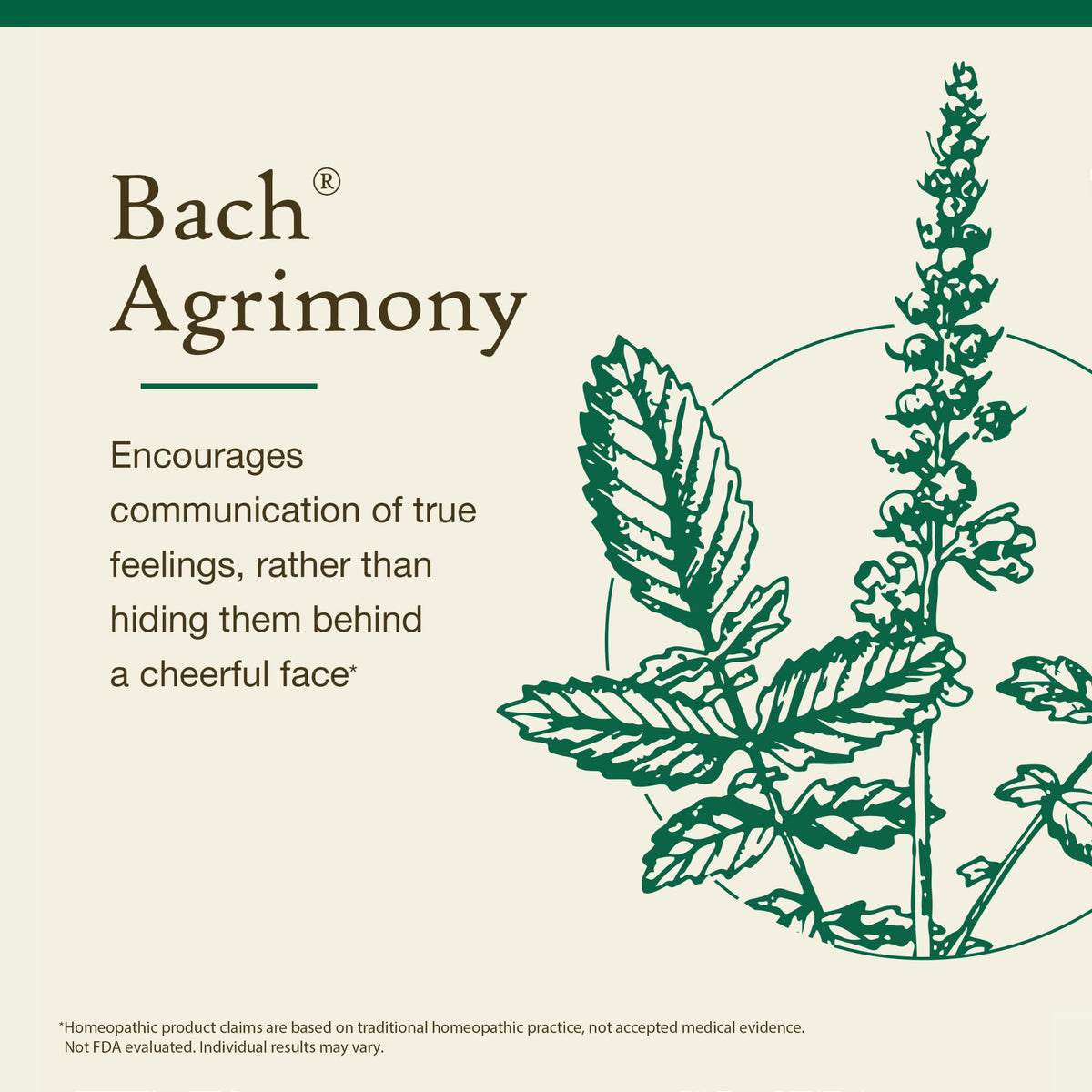 Bach Flower Remedies Agrimony Communicate Openly - 20mL - image 3