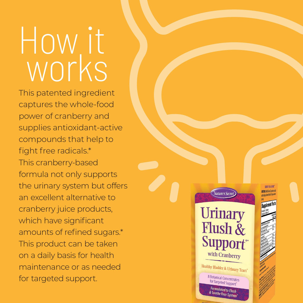 Nature's Secret Urinary Flush & Support Cranberry Capsules - 60 Count - image 3