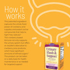 Nature's Secret Urinary Flush & Support Cranberry Capsules - 60 Count - image 3