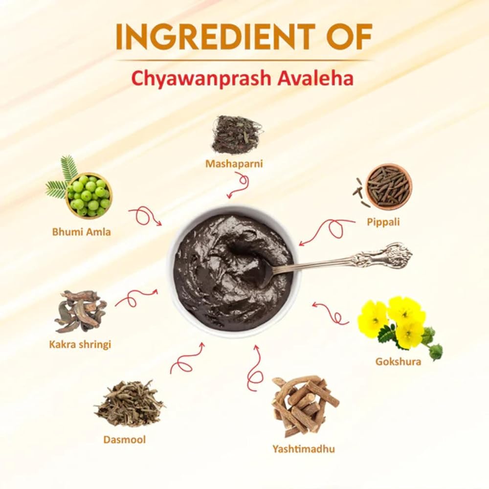 Swadeshi Haridwar Chyawanprash Ayurvedic Herbal Paste - 1kg - image 2