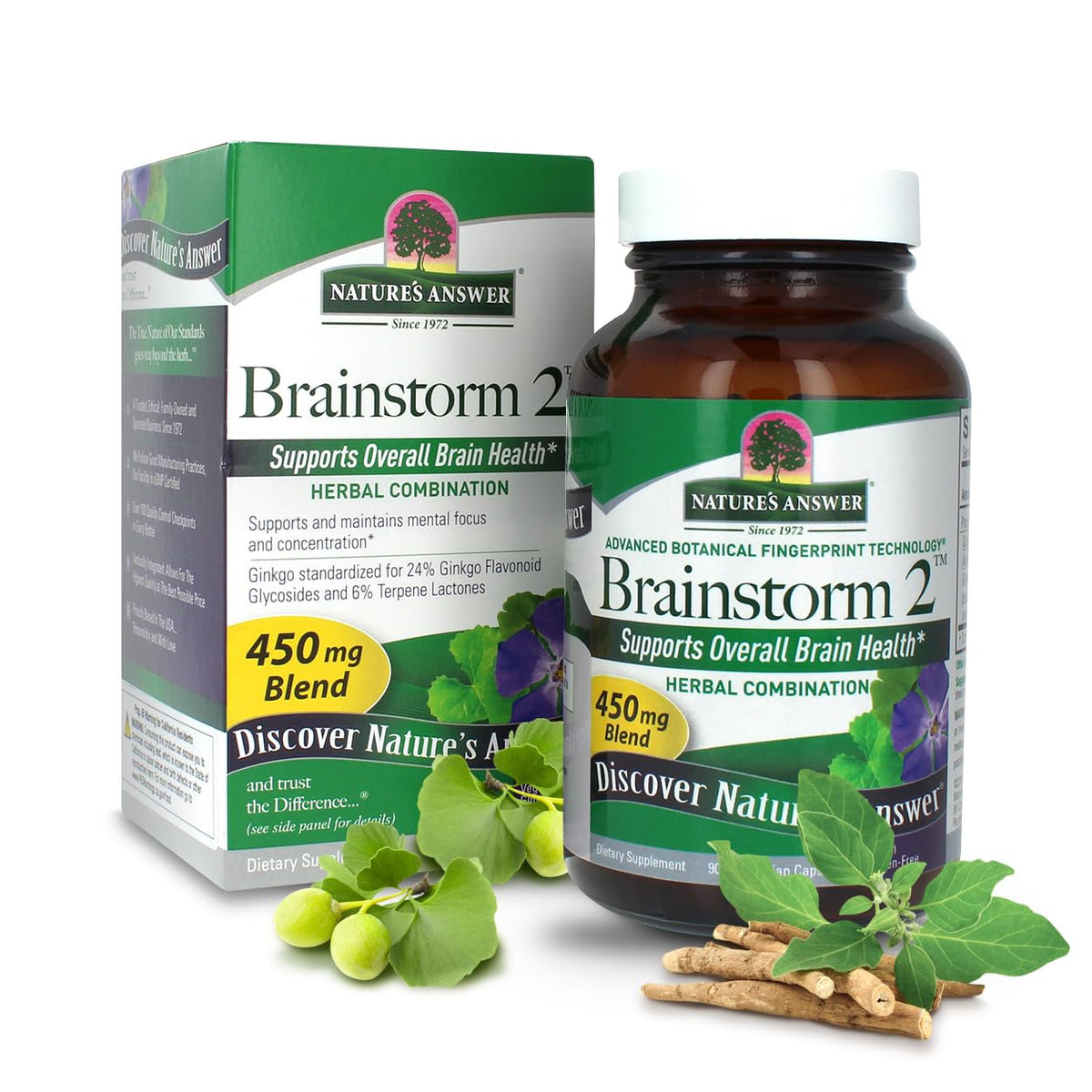 Nature's Answer Brainstorm 2 Brain Support 450mg - 90 Capsules