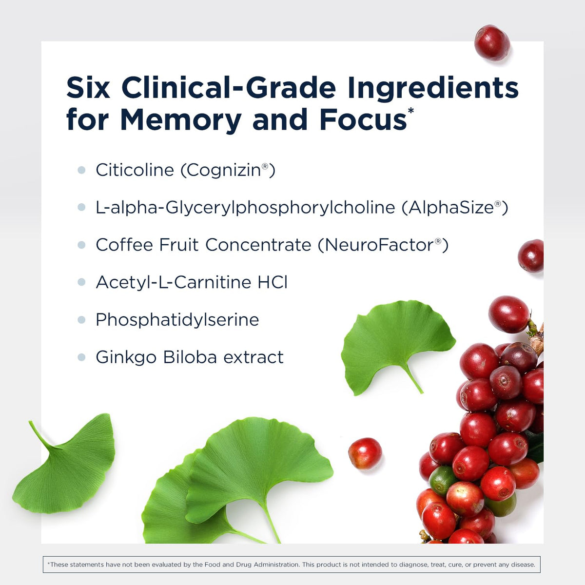 Designs for Health Brain Vitale Focus Support - 120 Capsules - image 3