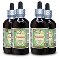 Herbal Terra LLC Punarnava (Boerhavia Diffusa) Dried Root Liquid