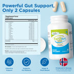 Fortifeye Probiotic Bacteria Vegan Supplement with Digestive Enzymes - image 4