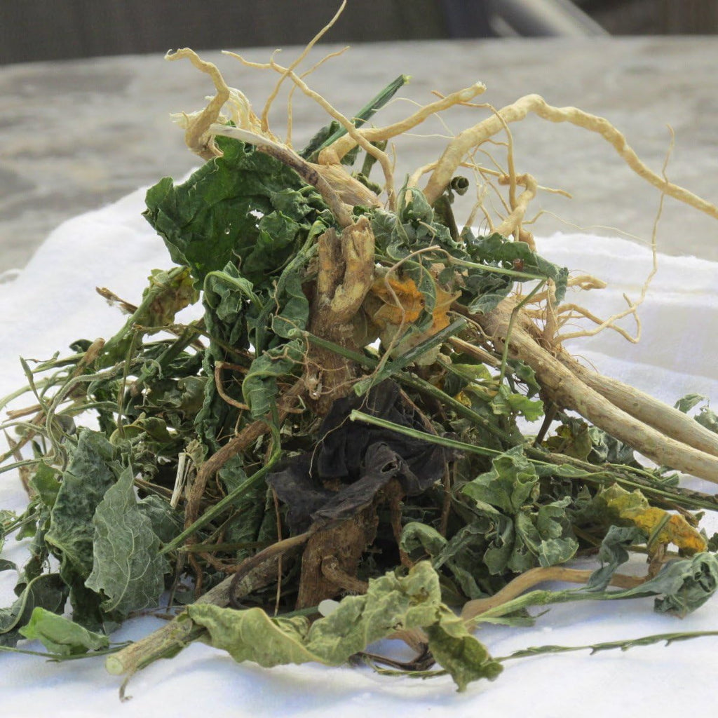 Generic Jamaican Guinea Hen Weed 100% Roots and Leaves - 1/2 oz