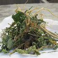 Generic Jamaican Guinea Hen Weed 100% Roots and Leaves - 1/2 oz