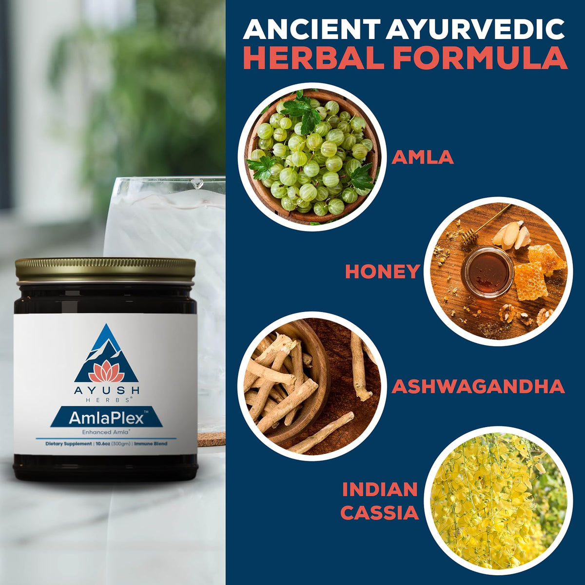 Ayush Herbs AmlaPlex Chyavanprash Immune Support - 30 Servings - image 4