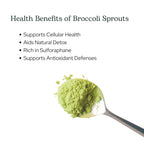 Eclectic Herb Organic Broccoli Sprouts Powder - 4.3 oz - image 4