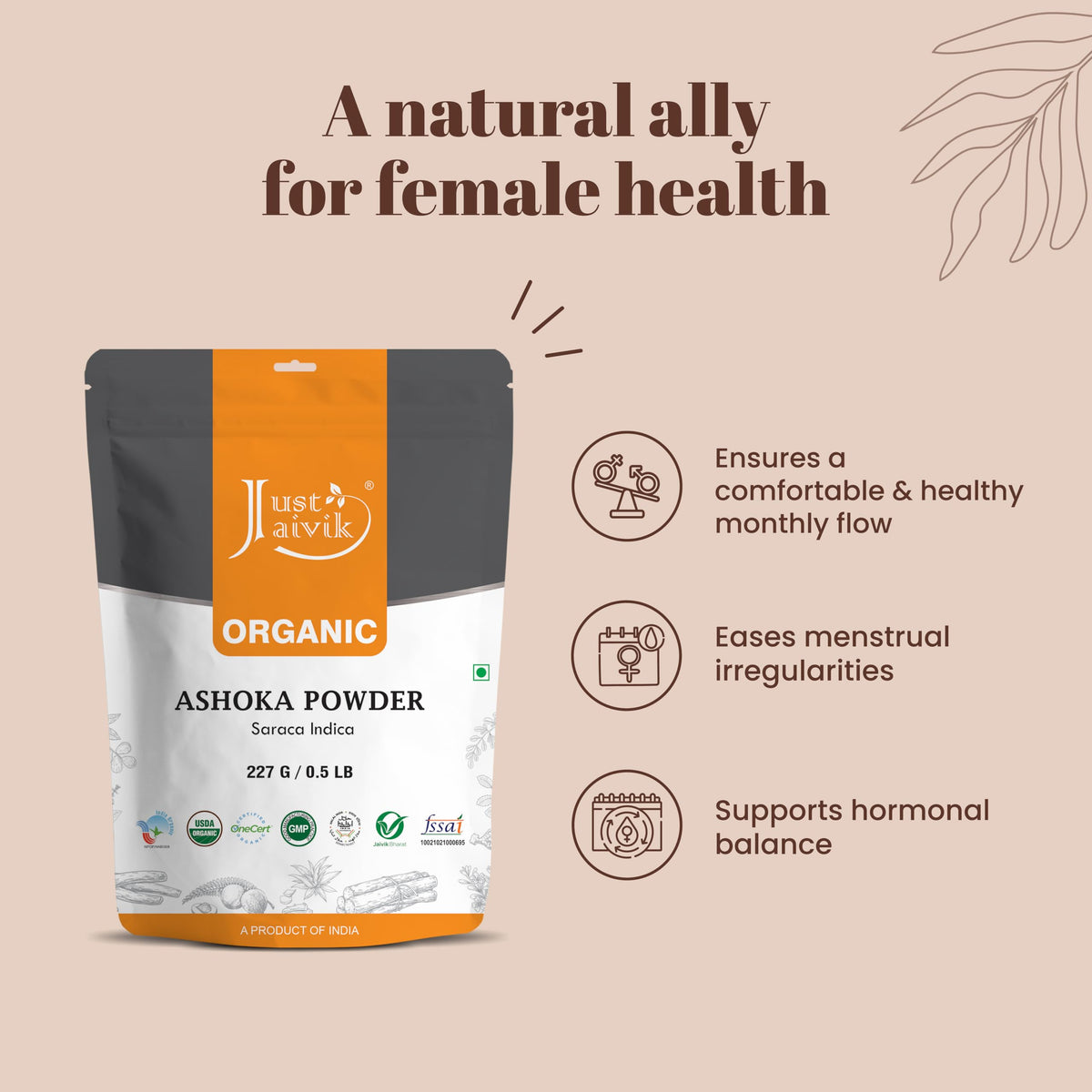 Just Jaivik Organic Ashoka Bark Powder - 227g - image 3