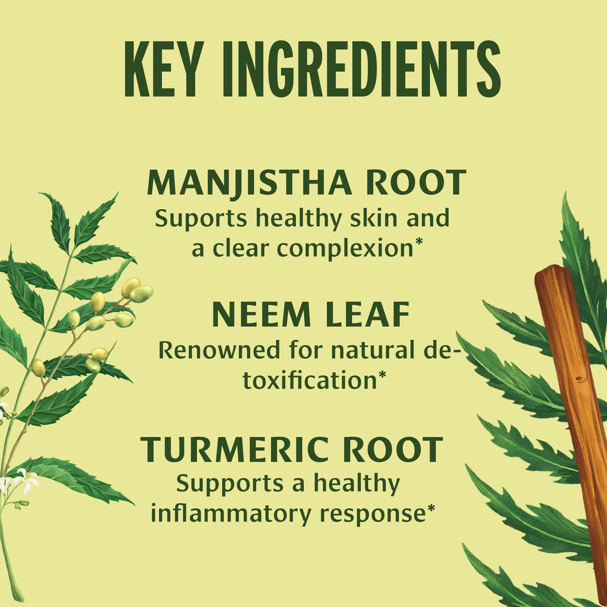 Banyan Botanicals Organic Blood Cleanse with Neem & Manjistha - 90 Tablets - image 2