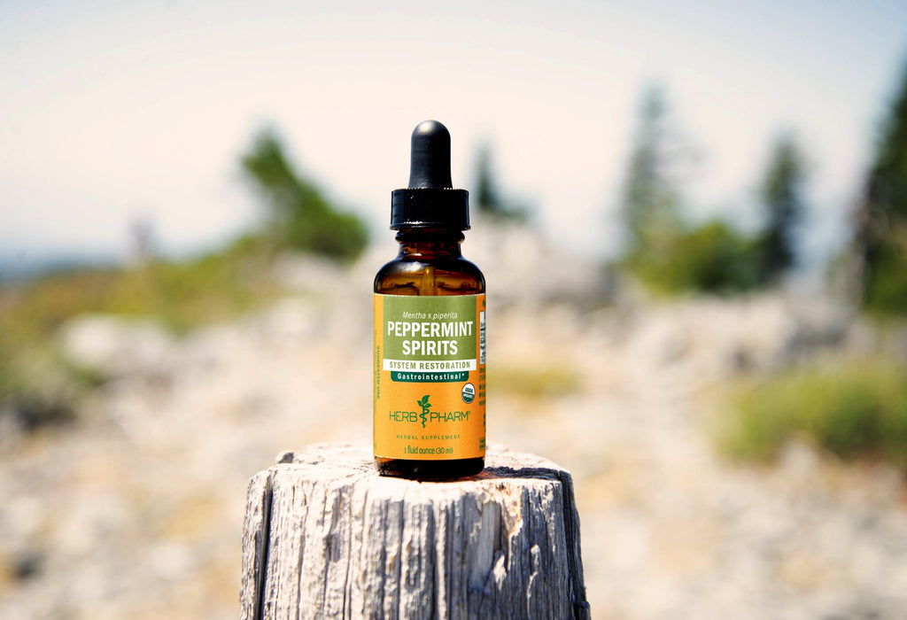 Herb Pharm Peppermint Spirits Liquid Extract for Digestion - 4 oz - image 7