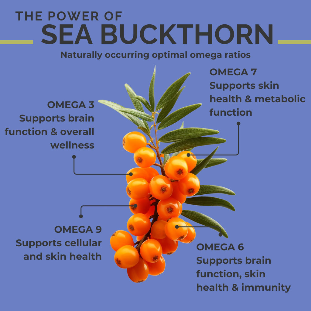 SeabuckWonders Organic Sea Buckthorn Berry Oil - 1.76 Fl Oz - image 3