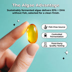 Future Kind Vegan Omega-3 Supplement for Memory & Mobility - 60 Softgels - image 5