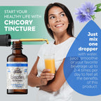Florida Herbs Chicory Tincture Extract Organic Root - 2 fl oz - image 2