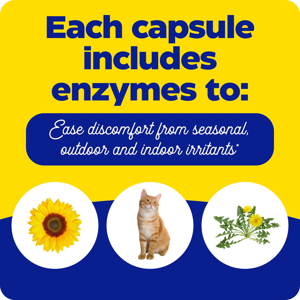 Enzymedica Allerase Enzyme Supplement - 60 Capsules - image 5