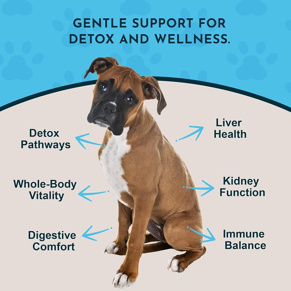 Animal Essentials Detox Blend Liver Support for Dogs & Cats - 2 fl oz - image 3