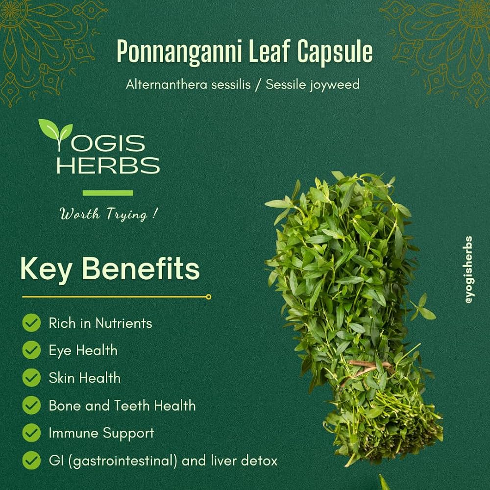 YOGIS HERBS Ponnanganni Capsules Herbal Supplement - 90 Vegetarian Capsules - image 5