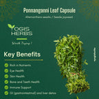 YOGIS HERBS Ponnanganni Capsules Herbal Supplement - 90 Vegetarian Capsules - image 5