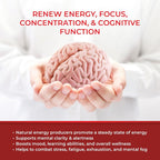 REVIVIFY Pro-Vitality Gel with Superoxide Dismutase - 30 Pouches - image 5