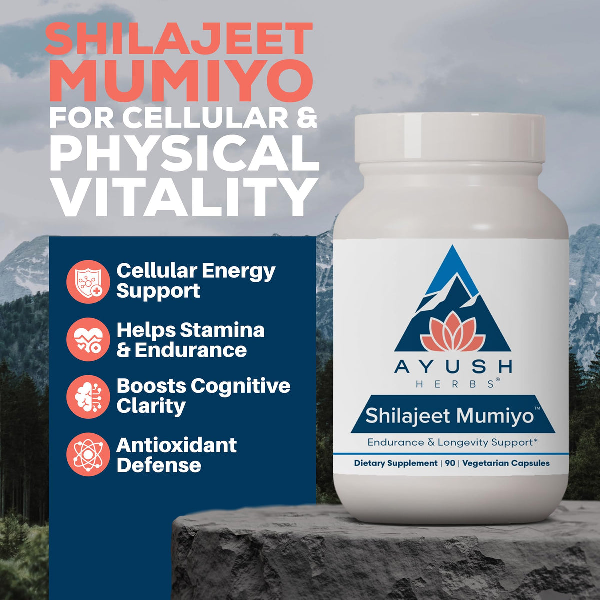 Ayush Herbs Shilajit Supplement for Energy & Wellness - 90 Vegetarian Capsules - image 2