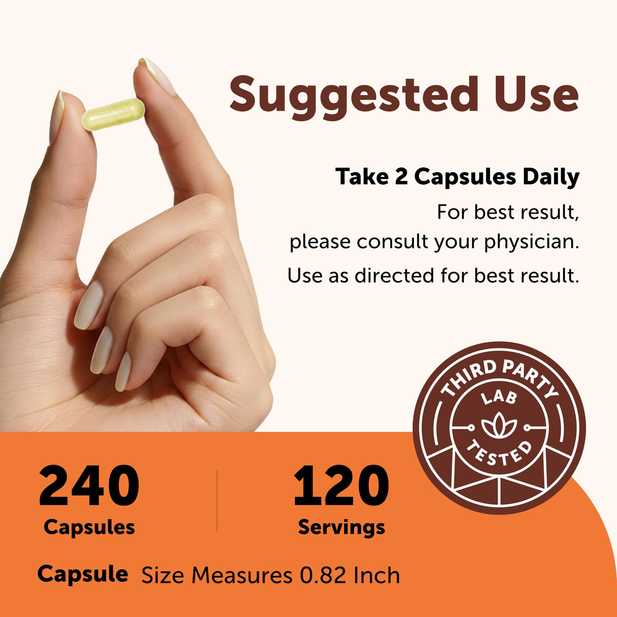 Micro Ingredients Quercetin with Vitamin C & Zinc - 240 Capsules - image 4