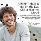 Neurobiologix Neuro Calm & Rebalance L-Theanine - 90 Capsules - image 3