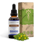Secrets of the Tribe Chaparral Alcohol-Free Liquid Extract