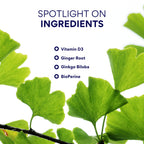 Research Verified Vertigo Defense - 60 Capsules