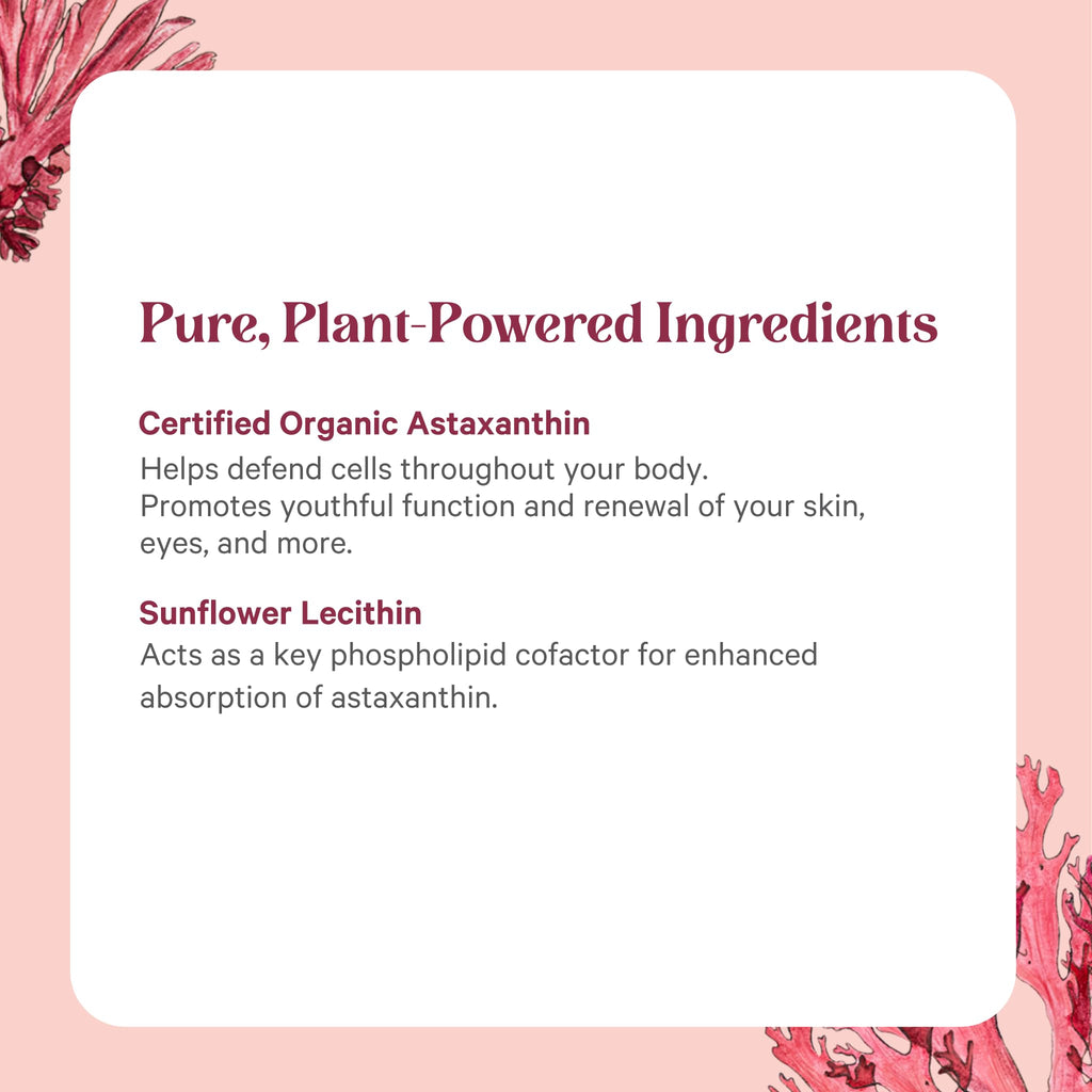 PURE SYNERGY SuperPure Astaxanthin Extract - 60 Capsules - image 5