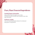 PURE SYNERGY SuperPure Astaxanthin Extract - 60 Capsules - image 5