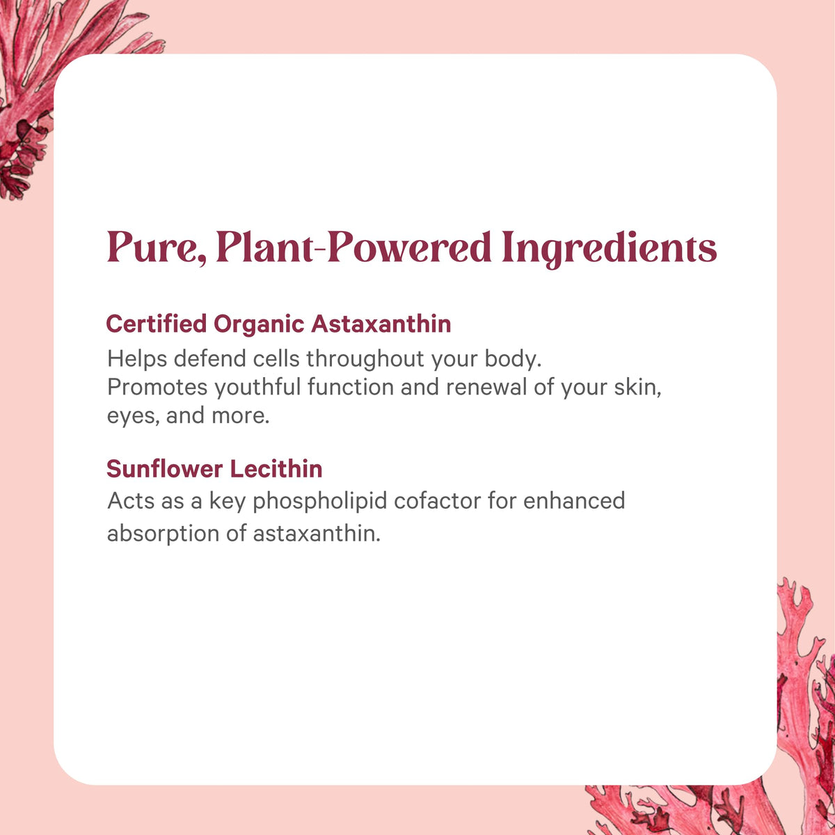PURE SYNERGY SuperPure Astaxanthin Extract - 60 Capsules - image 5