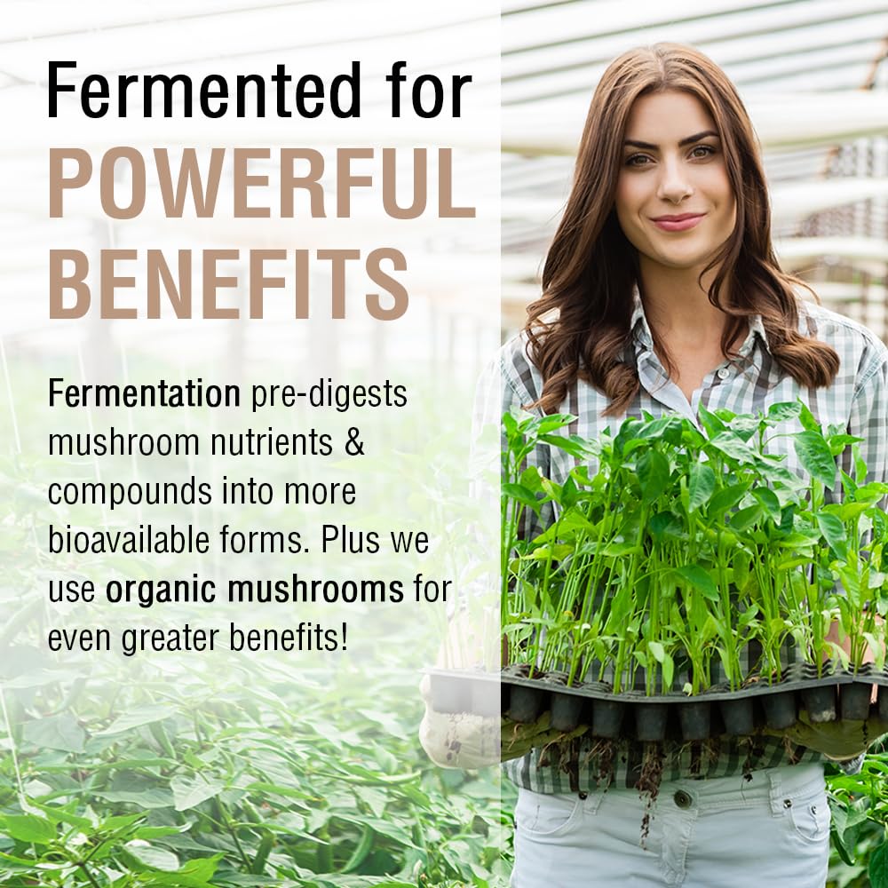 SOLARAY Fermented Chaga Mushroom 1000 mg Immune Support - 60 Vegetarian Capsules - image 4